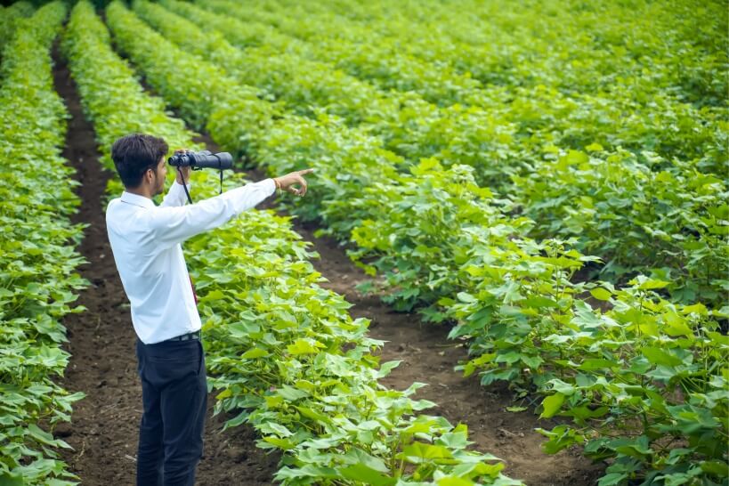ソーラー防犯カメラを畑・農業で使う場合は実地調査が肝心