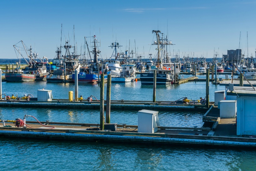 全国の漁港（漁業）で深刻化している犯罪リスクを解説