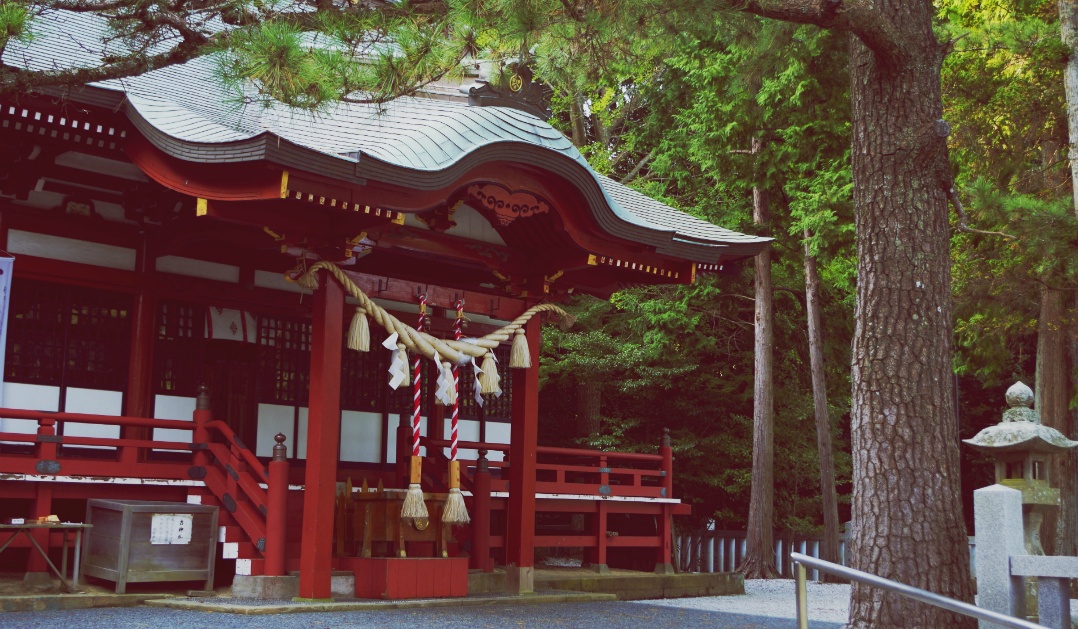 神社・寺院の不法投棄対策にアラームシステムを導入